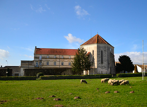 colonie de vacances cinéma